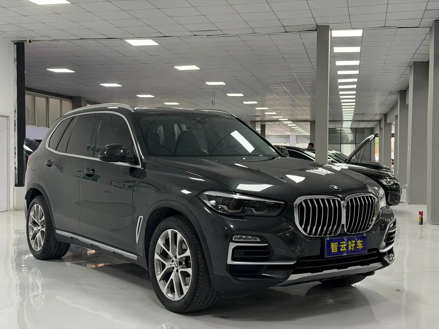 BMW X5 (Import) 2020 xDrive30i X Design Package фото 3