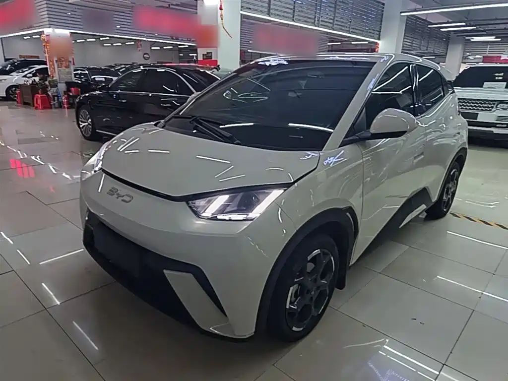 BYD Seagull 2025 305km Freedom