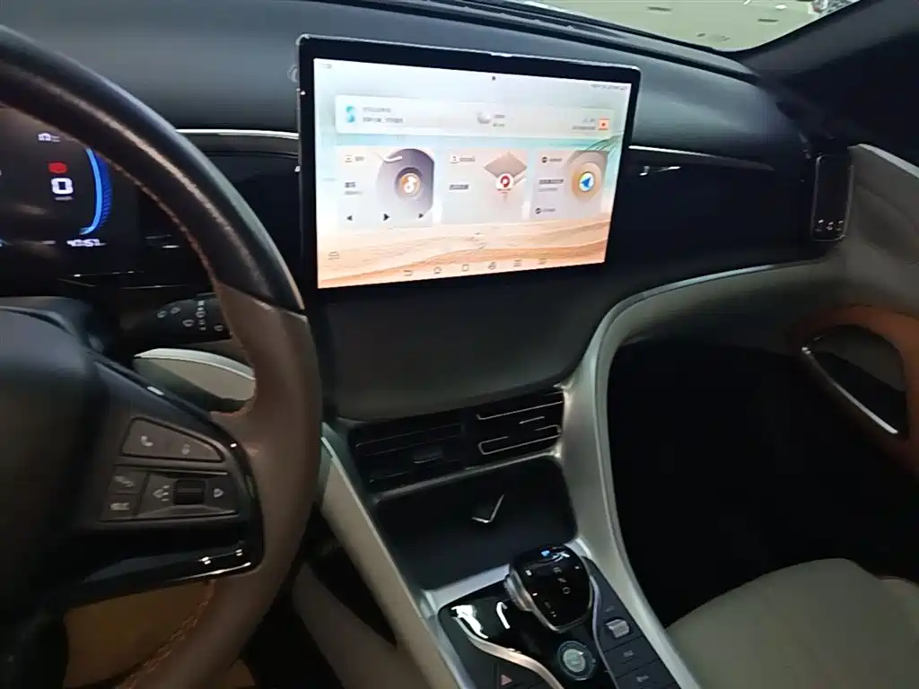 BYD Song Pro New Energy 2022 DM-i 51km Premium фото 13