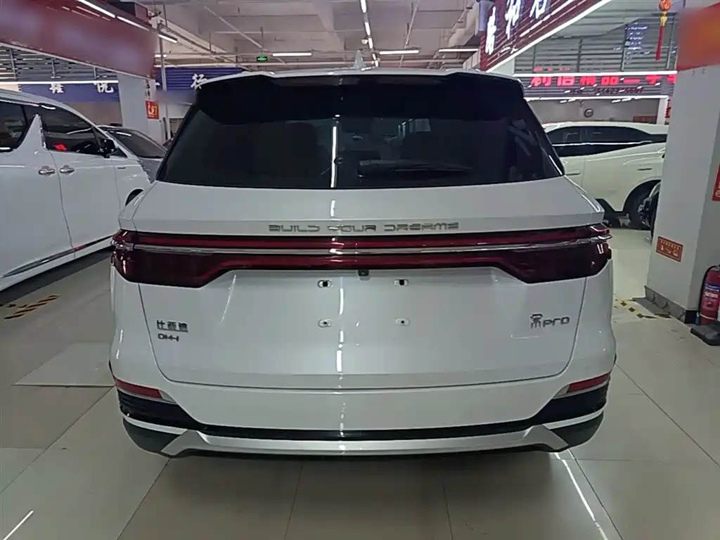 BYD Song Pro New Energy 2022 DM-i 51km Premium фото 6