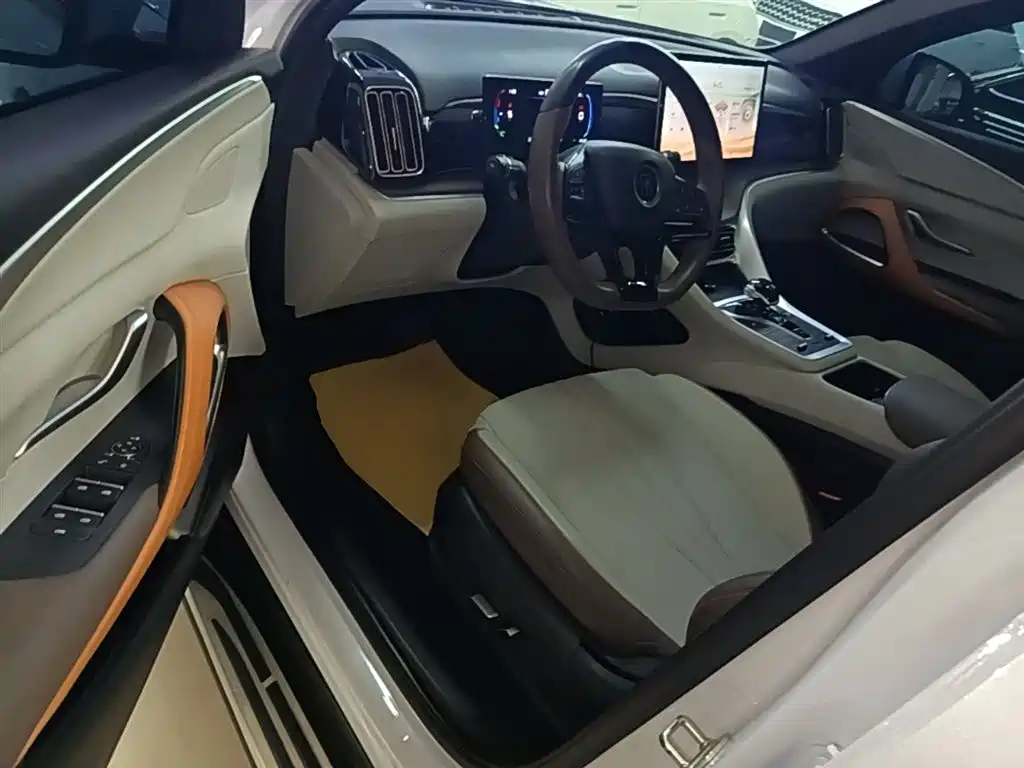 BYD Song Pro New Energy 2022 DM-i 51km Premium фото 16