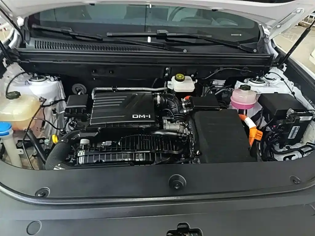 BYD Song Pro New Energy 2022 DM-i 51km Premium фото 20