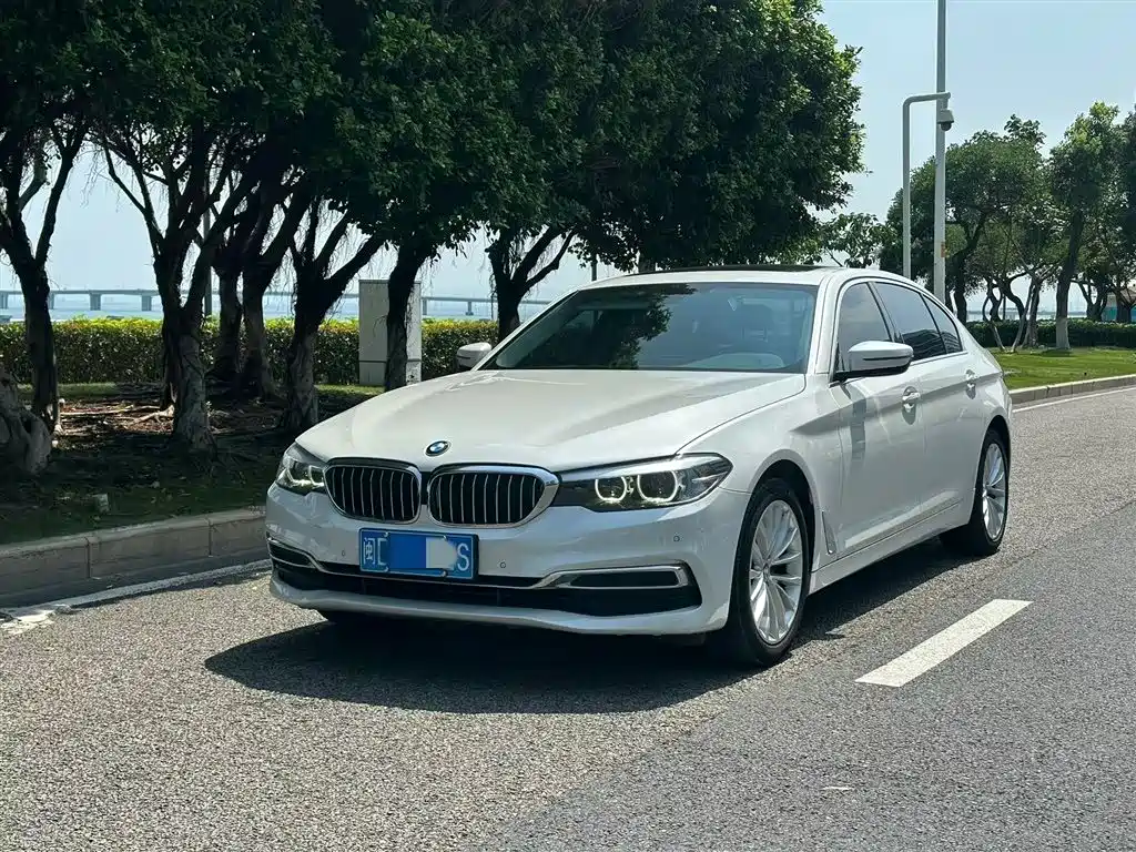BMW 5 Series 2020 525Li Luxury Package