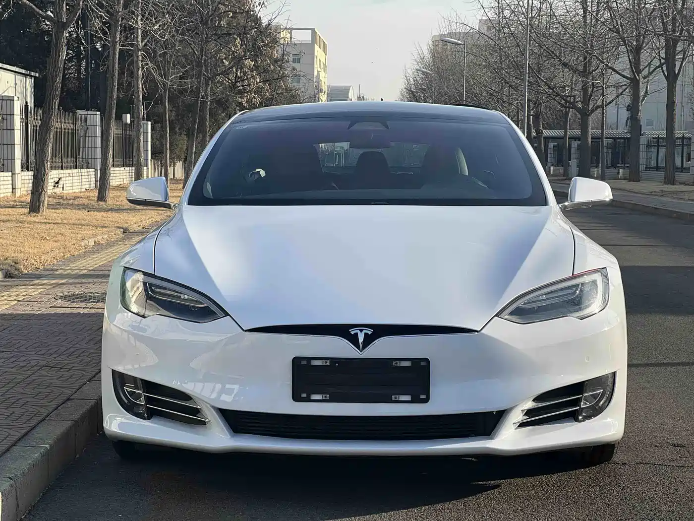 TESLA MODEL S