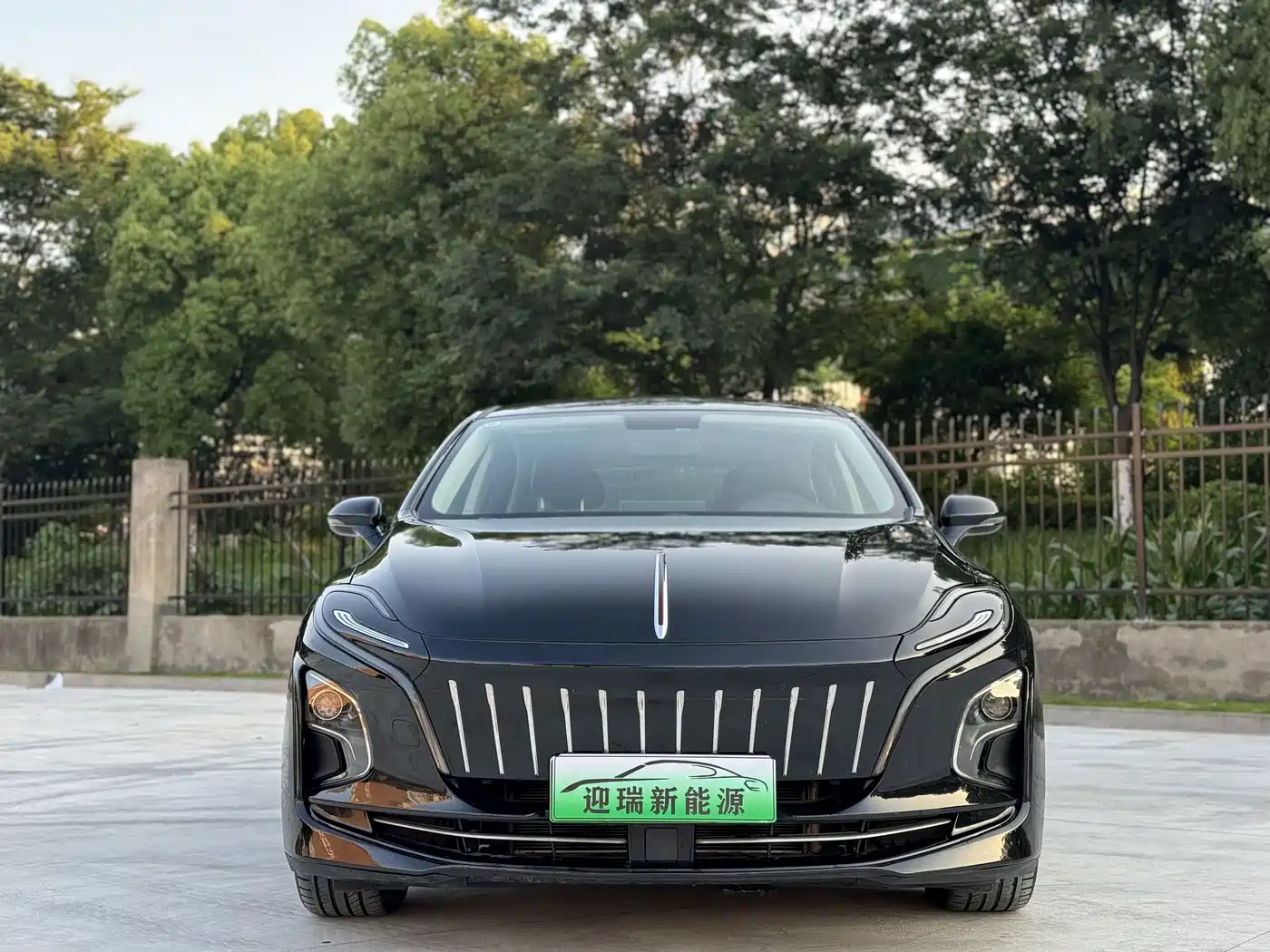 Hongqi E-QM5 2023 Basic Travel Edition фото 2