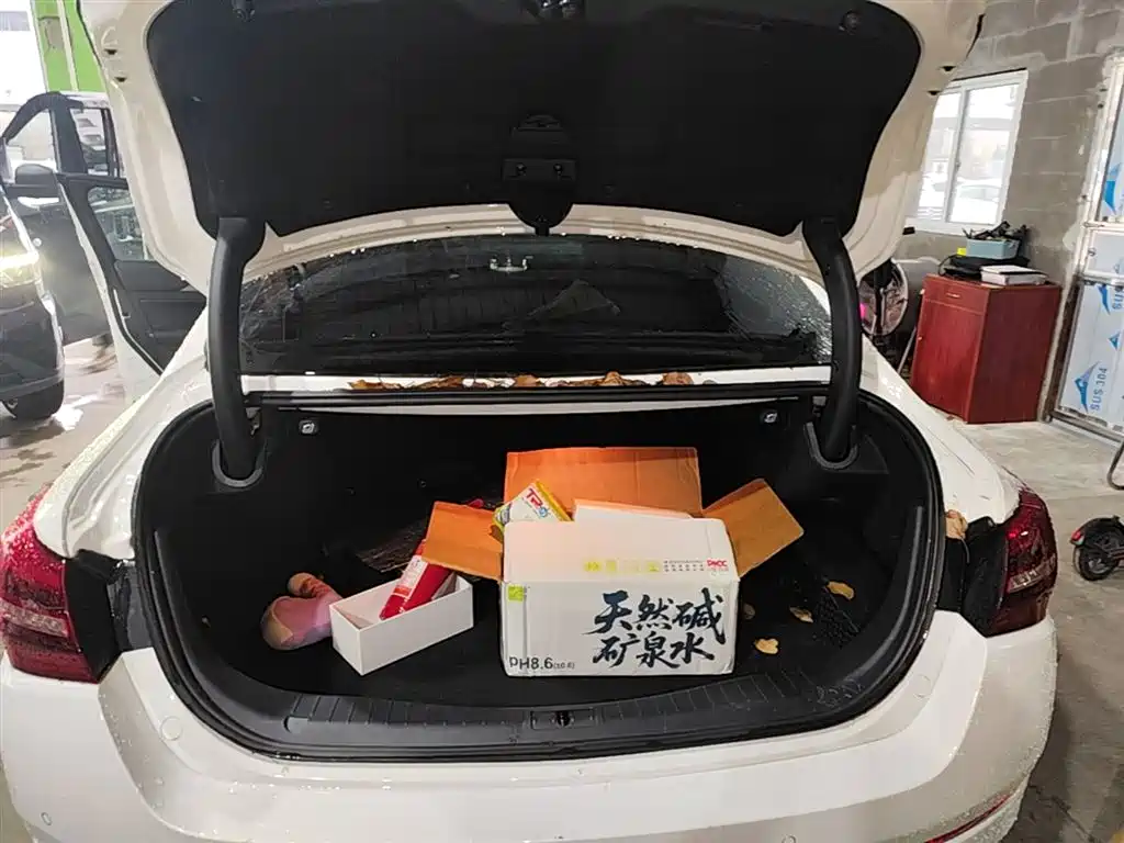 Hongqi H5 2022 Classic Facelift 1.5T DCT Flag Rhythm Edition фото 19