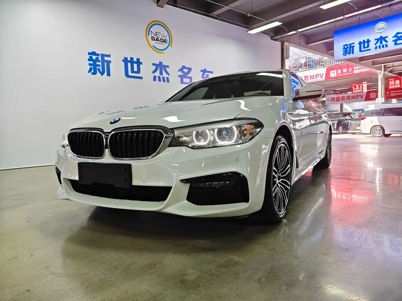 BMW 5 Series 2019 530Li Leading M Sport Package