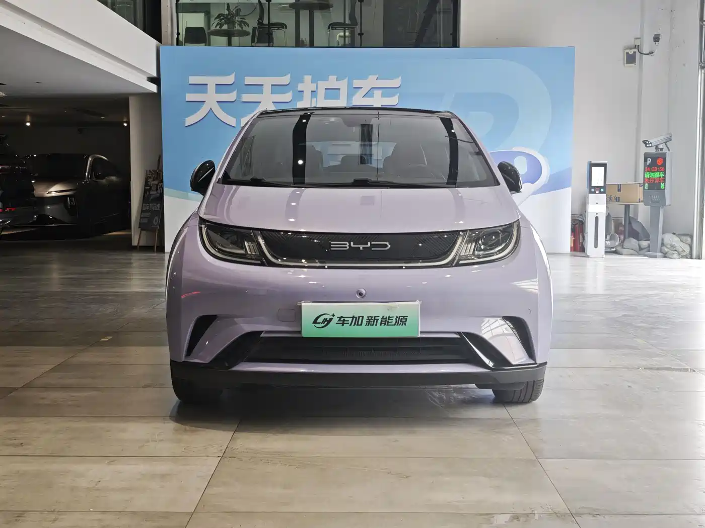 BYD Dolphin 2023 420km Fashion Edition фото 2