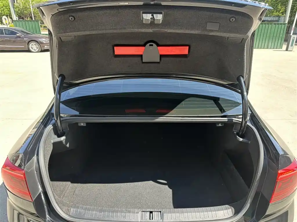 Volkswagen Magotan 2020 330TSI DSG Leading фото 9