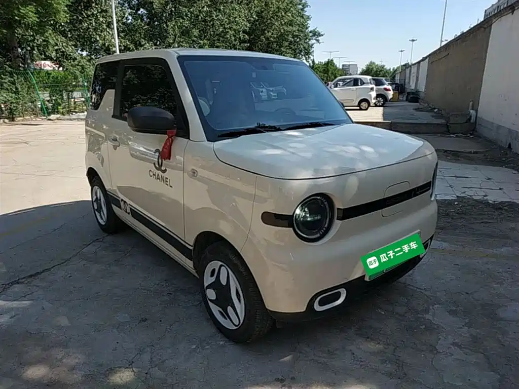 Geely Galaxy Panda 2025 Panda mini 210km Vitality Bear фото 4