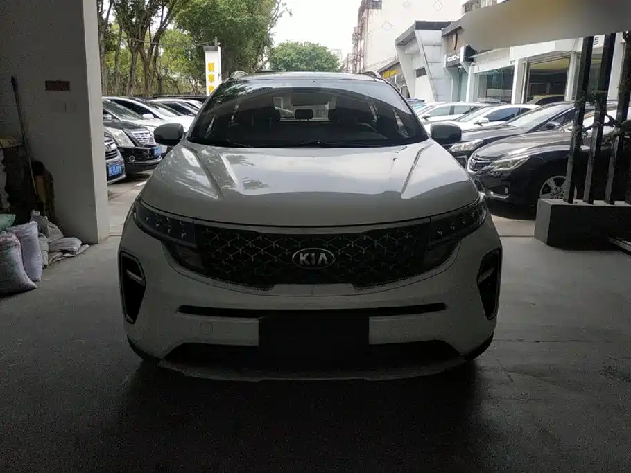 Kia KX5 2019 2019 1.6T Automatic 2WD Luxury Edition