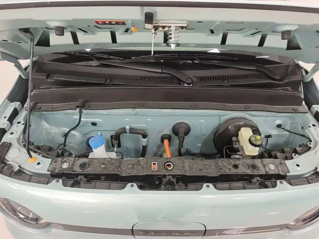 Фото 20 - Geely Galaxy Panda