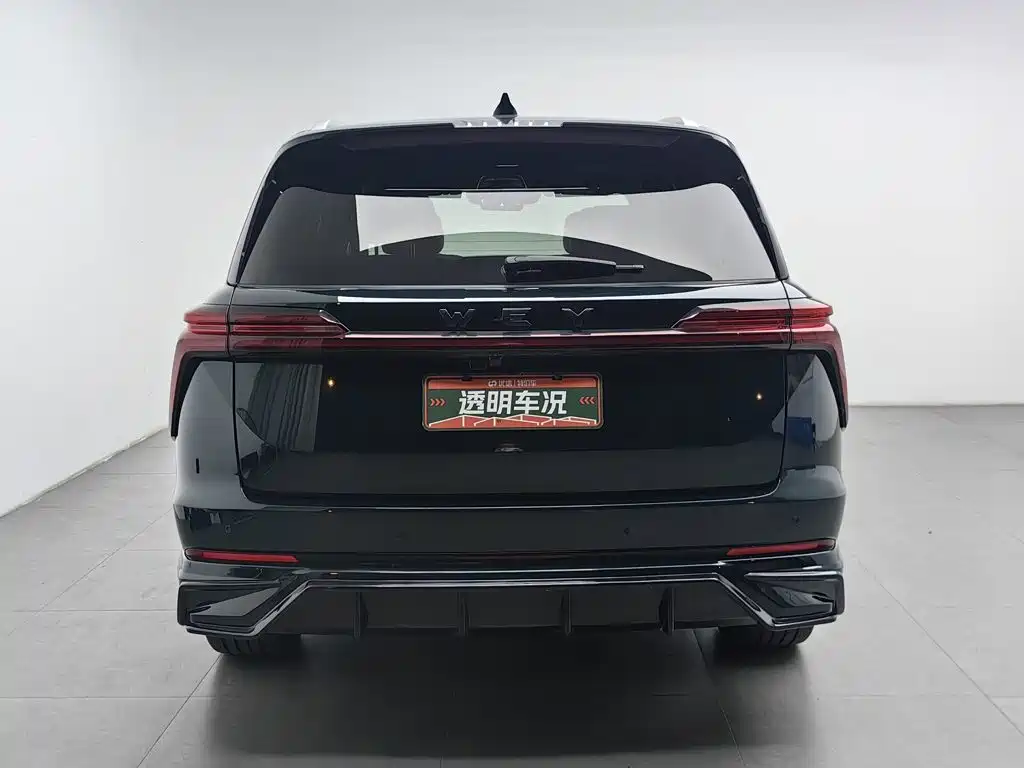 WEY Lanshan 2023 2023 AWD Ultra Long Range Edition
