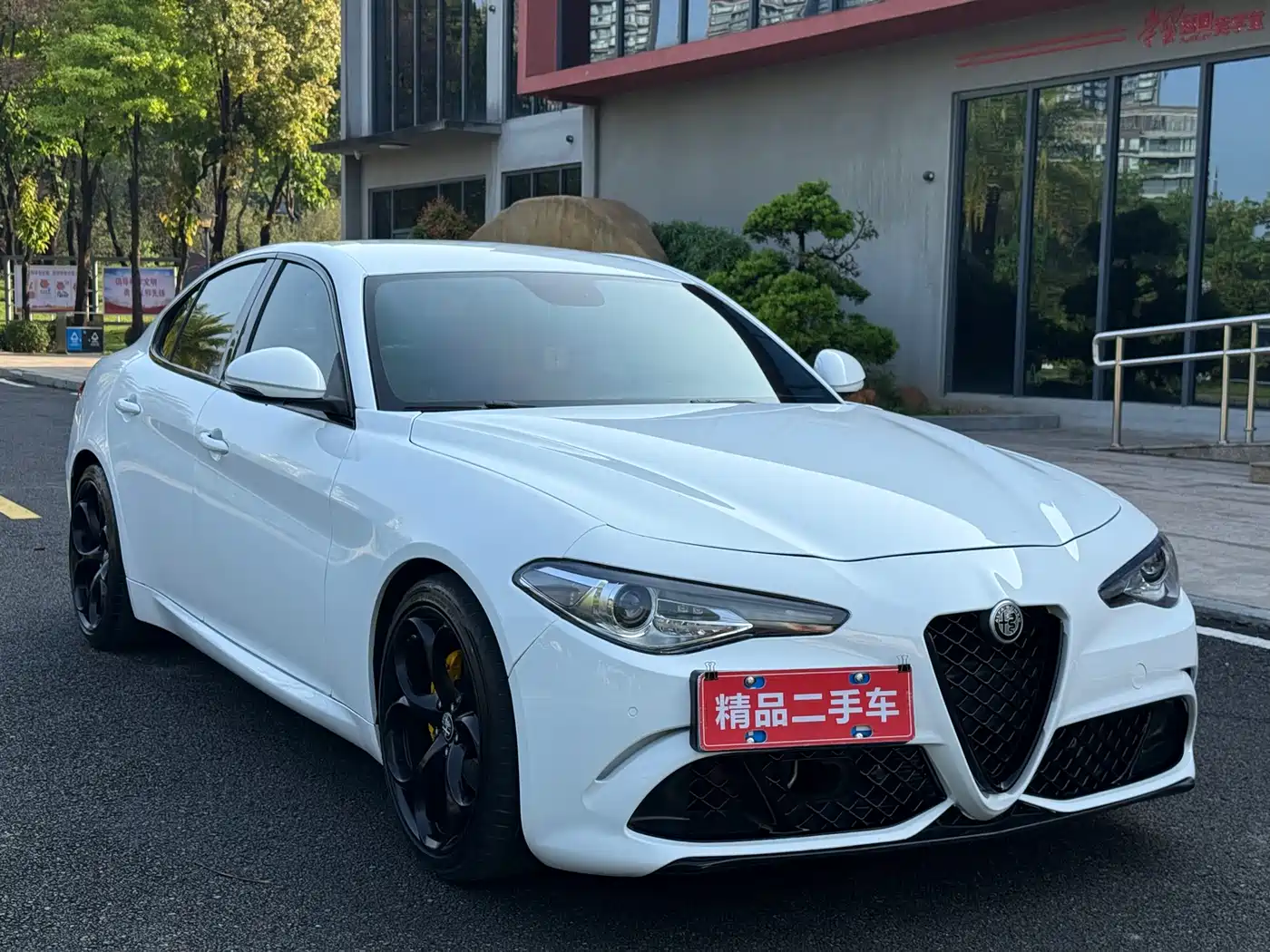 Alfa Romeo Giulia 2017 2.0T 200HP Elite Edition фото 3