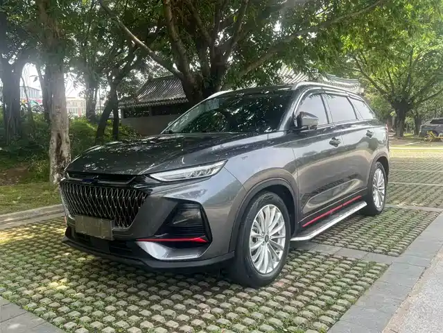 Changan Oshan X7 PLUS 2022 1.5T Blue Whale Edition Auto Executive