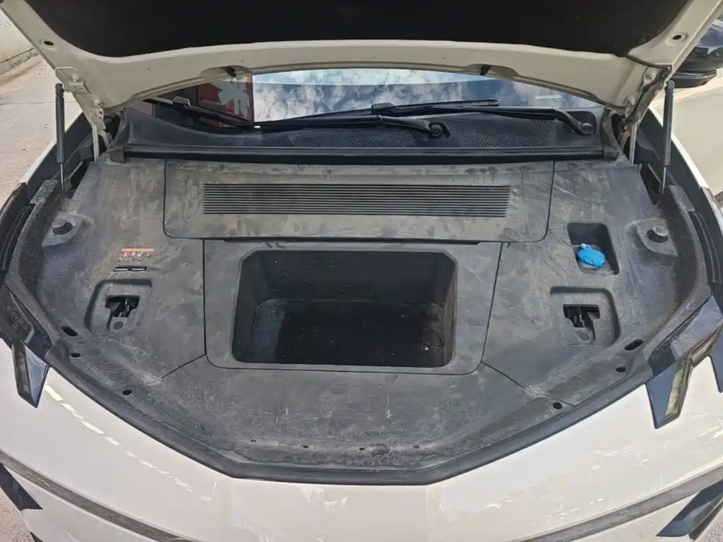 ZEEKR X 2024 2023 AWD YOU Edition 4-Seater