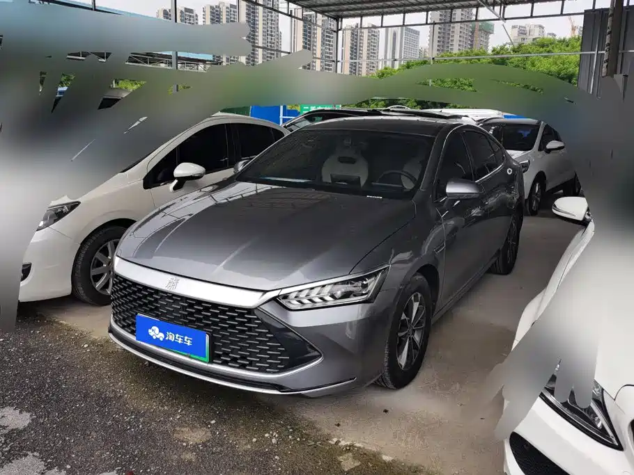 BYD Qin PLUS 2024 Glory Edition DM-i 55KM Leading