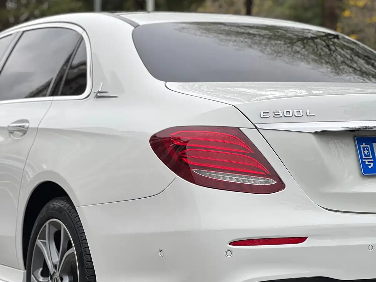 Mercedes-Benz E-Class 2020 Facelift E 300 L Sport Fashion фото 10
