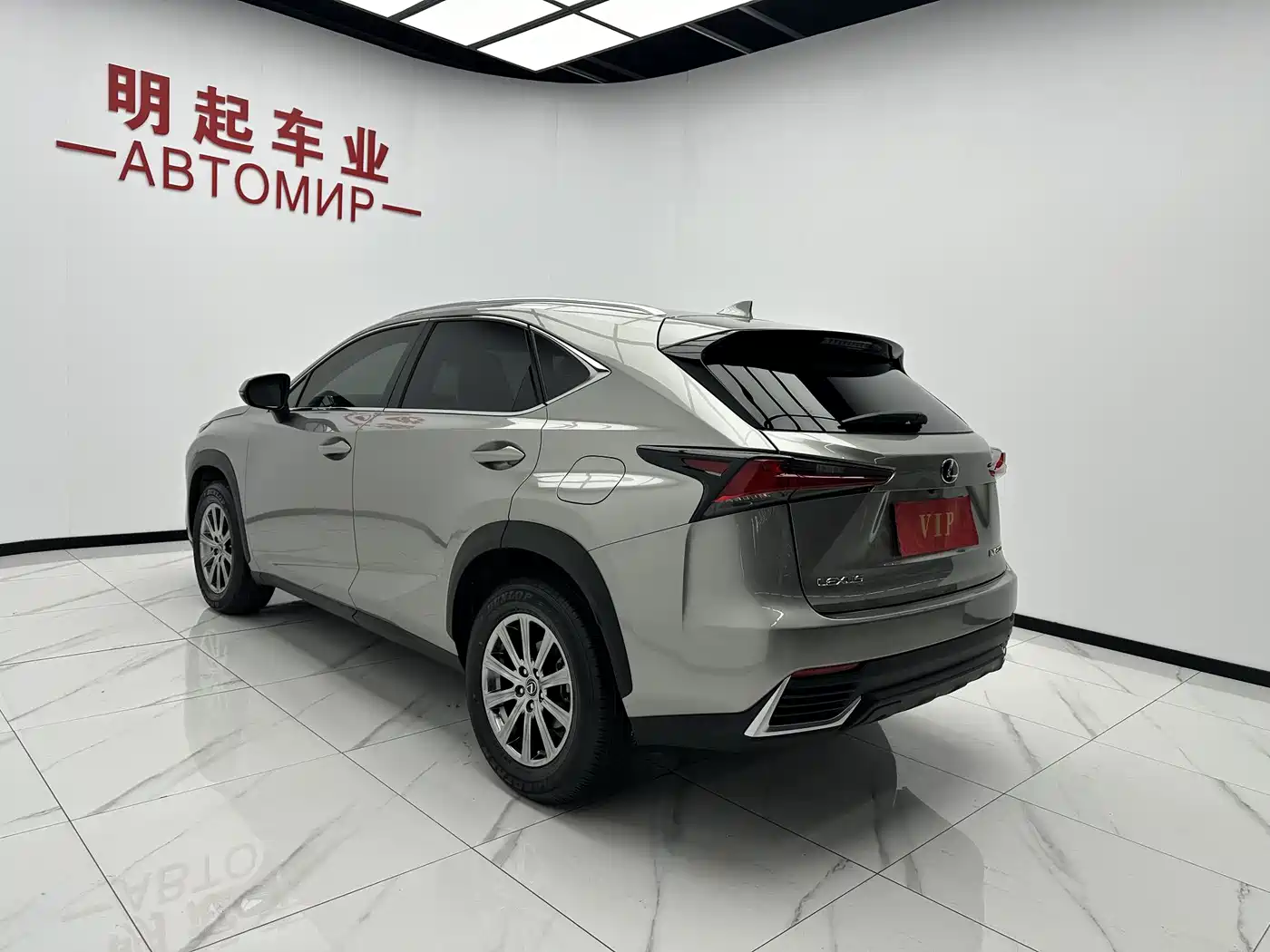 Lexus NX 2020 200 AWD F Sport China VI фото 8