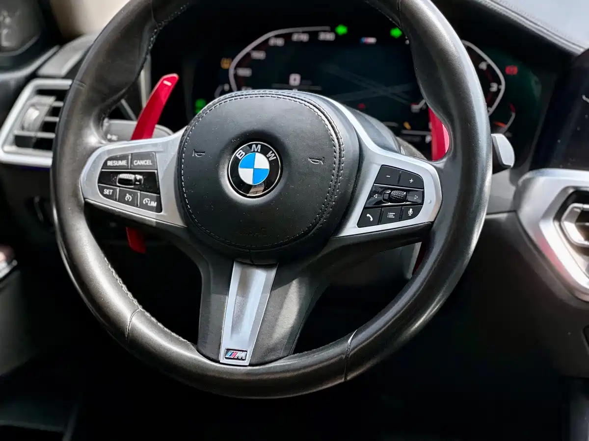 BMW 3 Series 2020 325Li M Sport Black Night Package фото 12