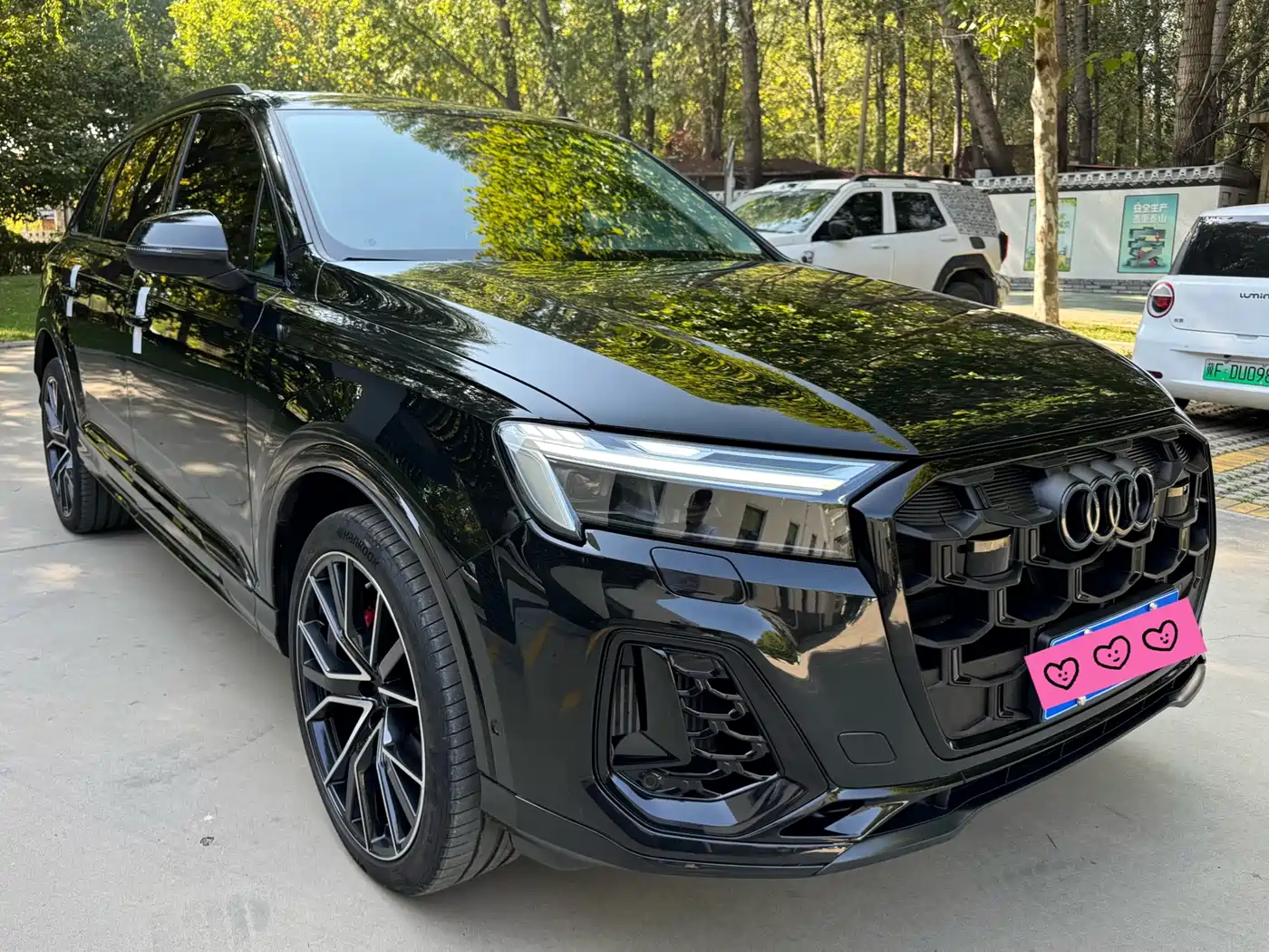 Audi Audi Q7 2025 55 TFSI quattro S line Black Warrior