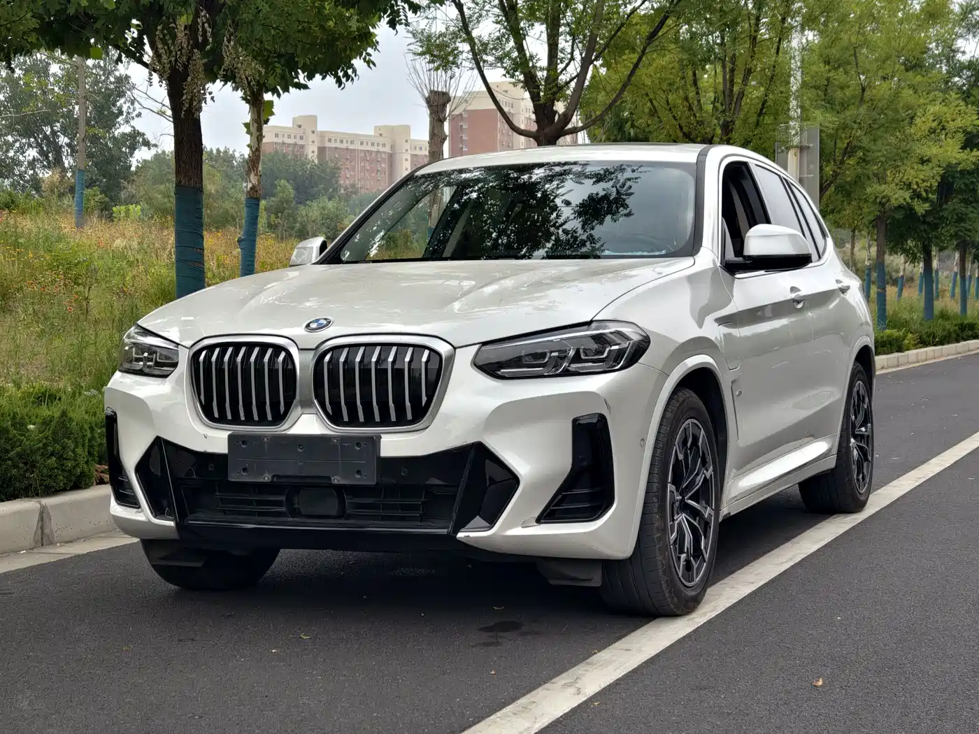 BMW iX3 2022 Leading Edition