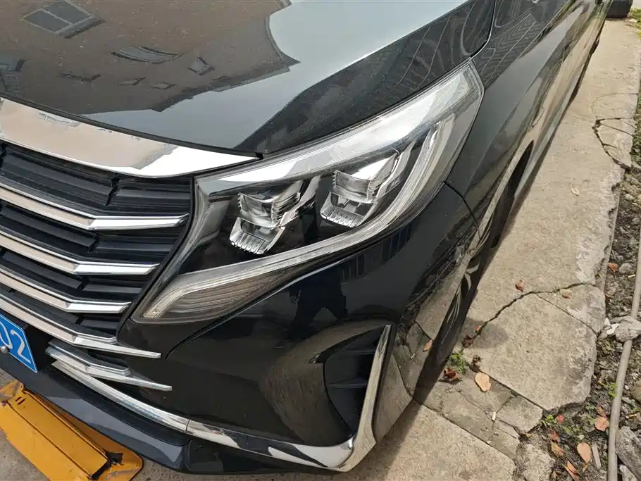 GAC Trumpchi Trumpchi M8 2024 Leadershow Series 390T Luxury Edition фото 5
