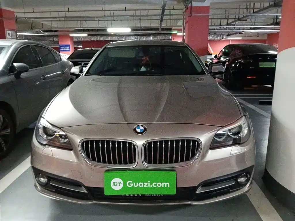 BMW 5 Series 2014 525Li Leading фото 23