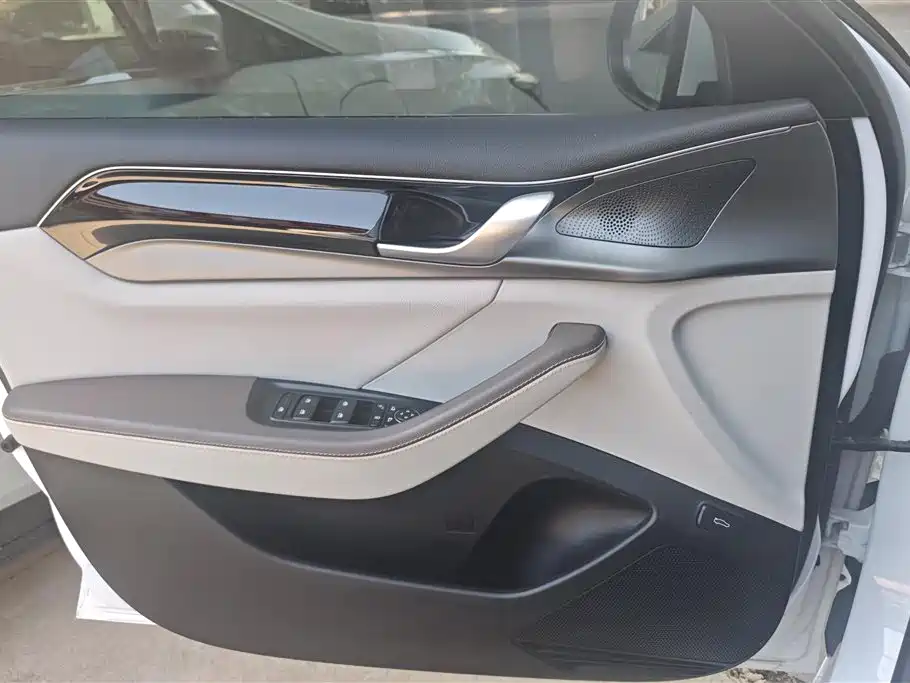 BYD Qin PLUS 2024 Glory Edition EV 510KM Leading фото 7
