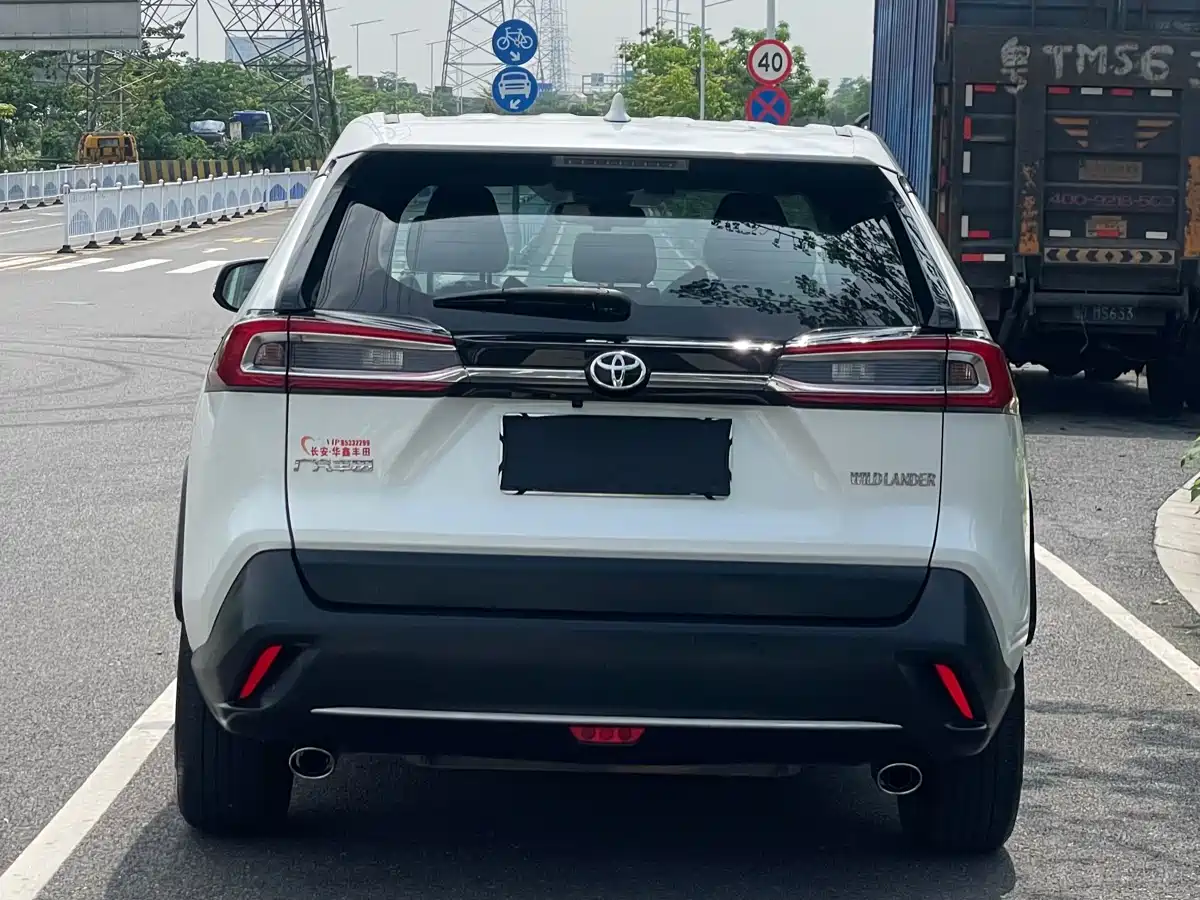 Toyota Wildlander 2021 2.0L CVT 4WD Luxury Edition фото 35