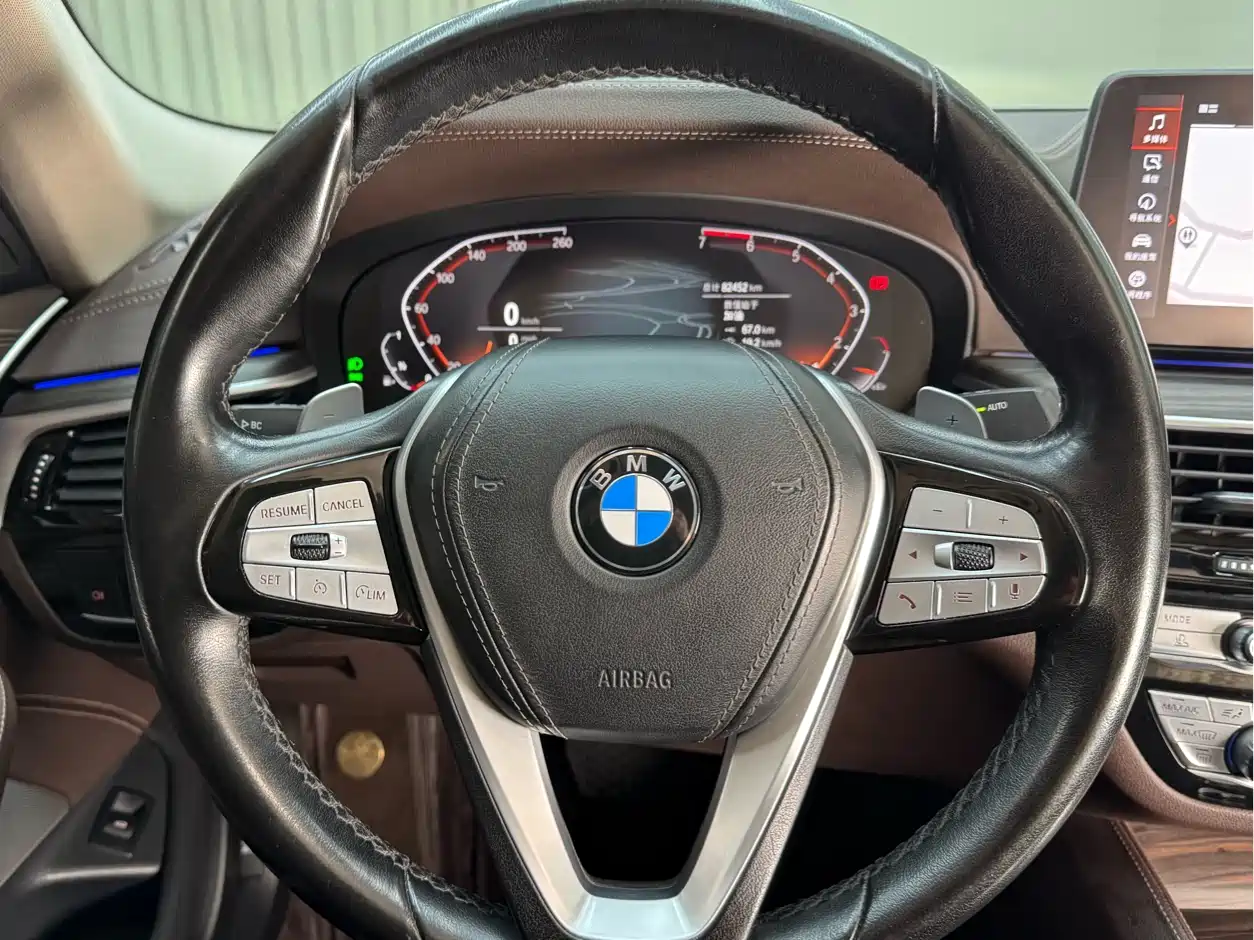 BMW 5 Series 2021 530Li Leading Luxury Package фото 22