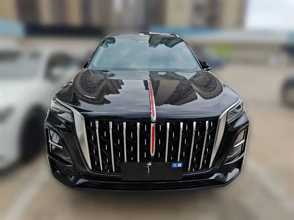 Hongqi HS5 2023 2.0T AWD Flag Enjoy Pro Edition фото 5