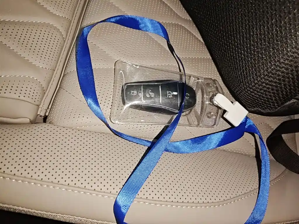 BYD Tang New Energy 2025 Smart Driving Edition DM-i 115KM Flagship фото 9