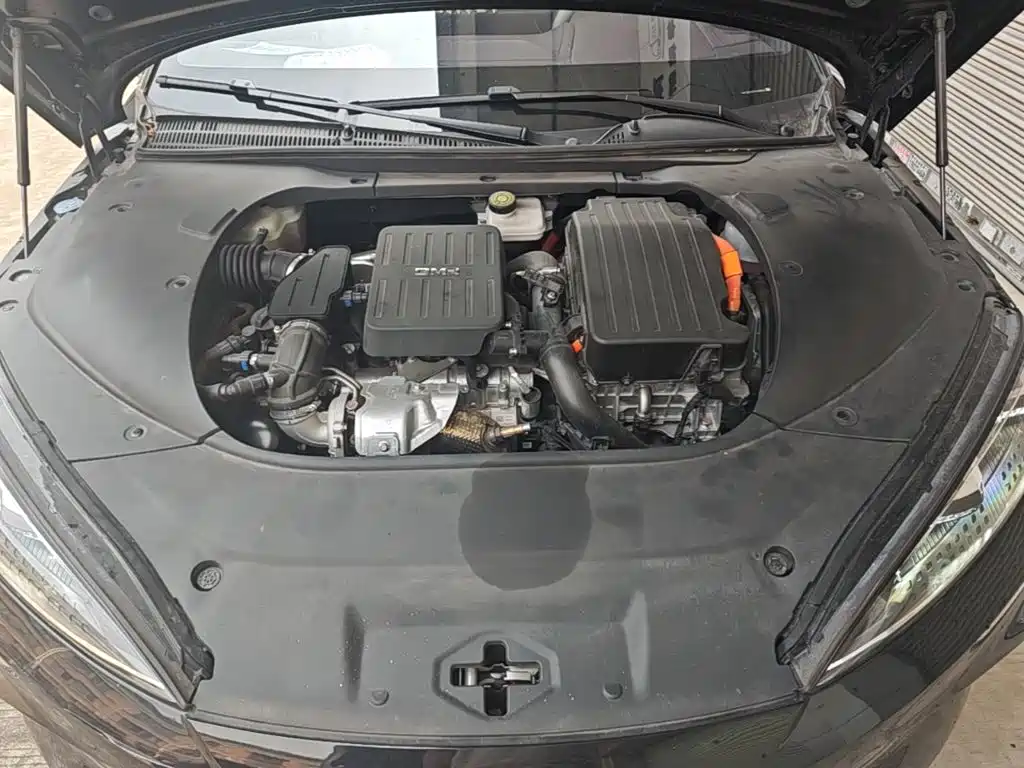 BYD Seal 2024 2023 DM-i 1.5T 121km Premium
