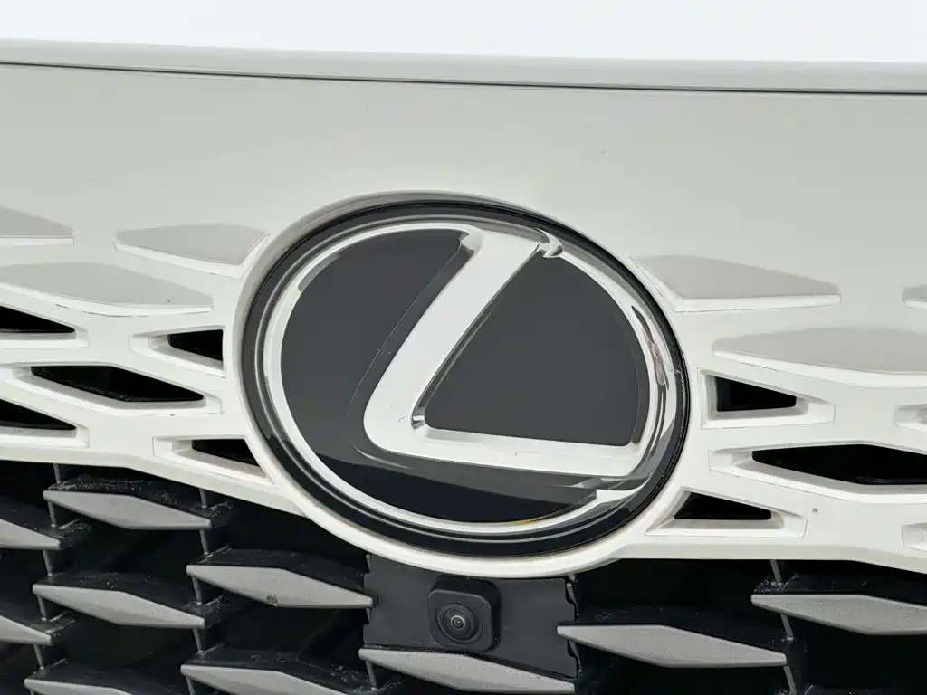 Фото 24 - Lexus RX