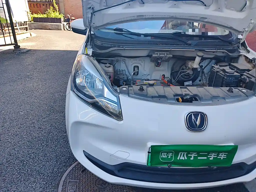 Changan Benben E-Star 2022 2021 National Edition Colorful Version LFP (31.86kWh)