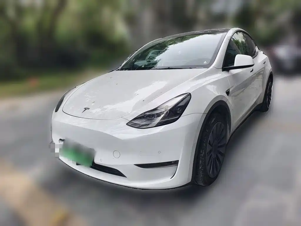 Tesla Model Y 2021