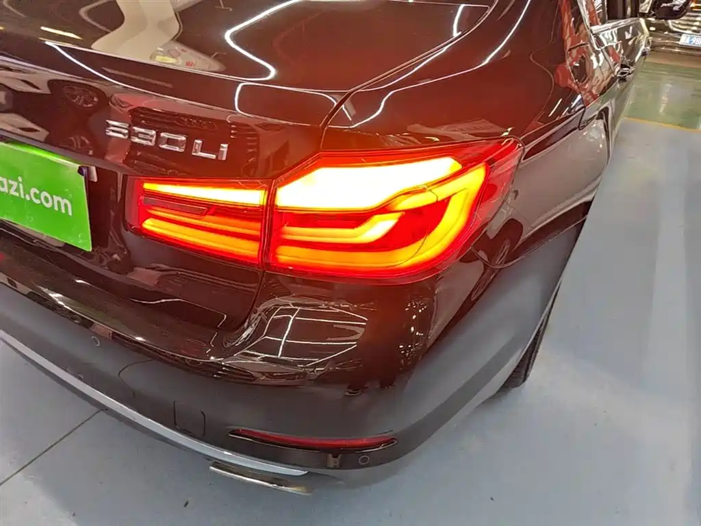 BMW 5 Series 2020 530Li Leading Luxury Package фото 8