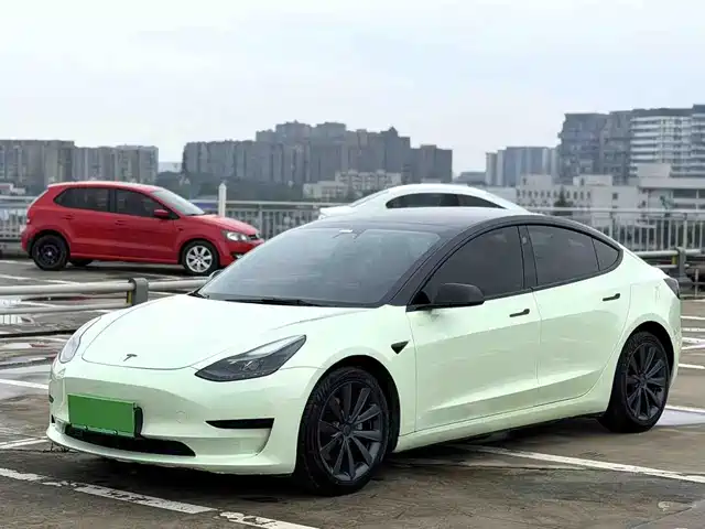 Tesla Model 3 2021