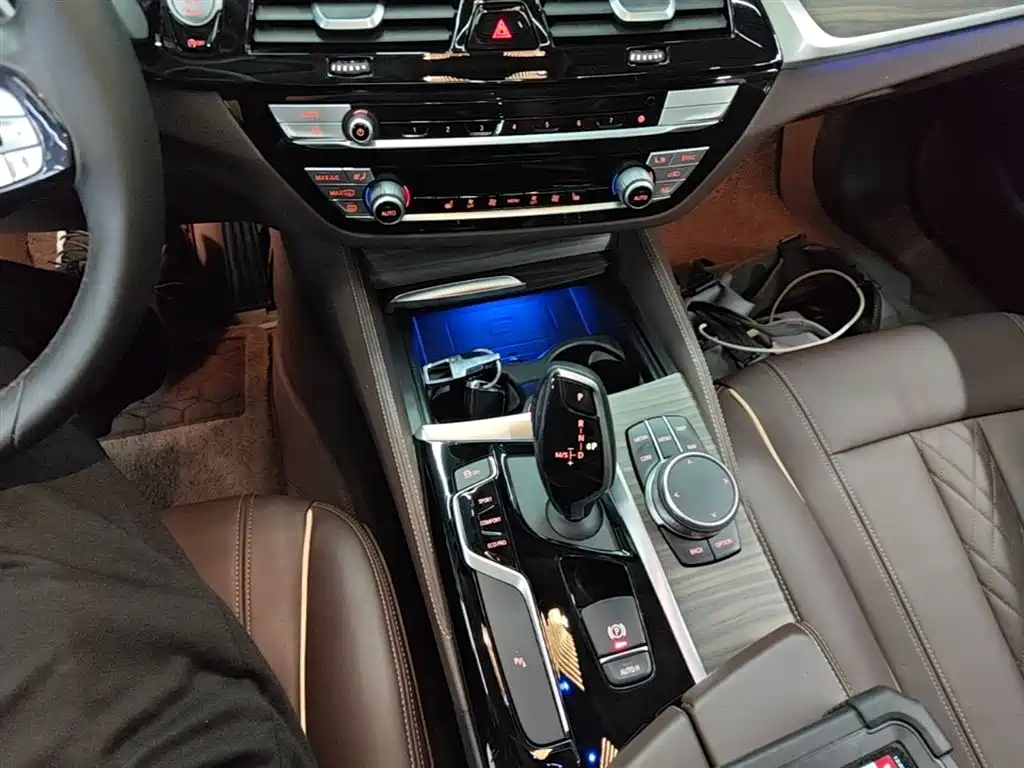 BMW 5 Series 2020 530Li Leading Luxury Package фото 14