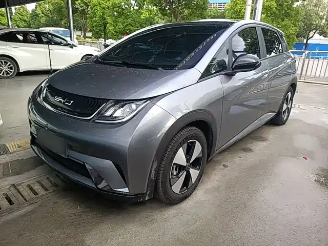 BYD Dolphin 420km, Стиль