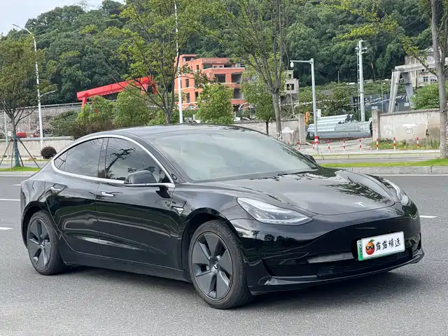 Tesla Model 3 2020