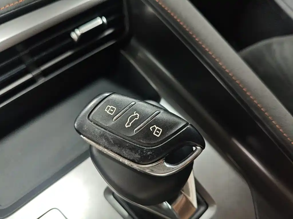 Roewe D5X DMH 2024 2024 Model 135 Technology Edition