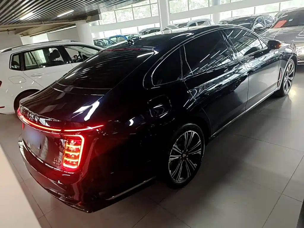 Hongqi H9 2025 2024 2.0T Qi Enjoy Private Fashion Edition