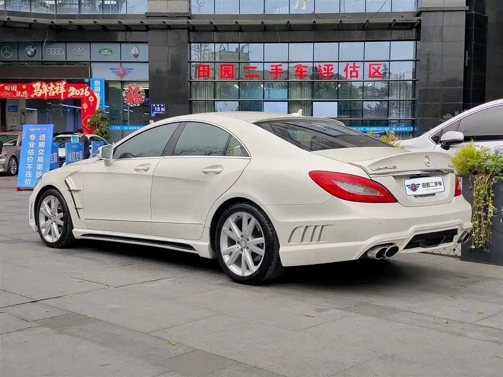 Mercedes-Benz CLS 2012 CLS 300 CGI фото 4