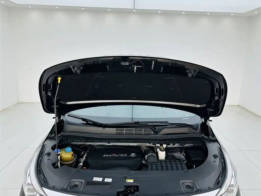 GAC Trumpchi Trumpchi M8 2021 Leading Show Series 390T Prestige Edition фото 25