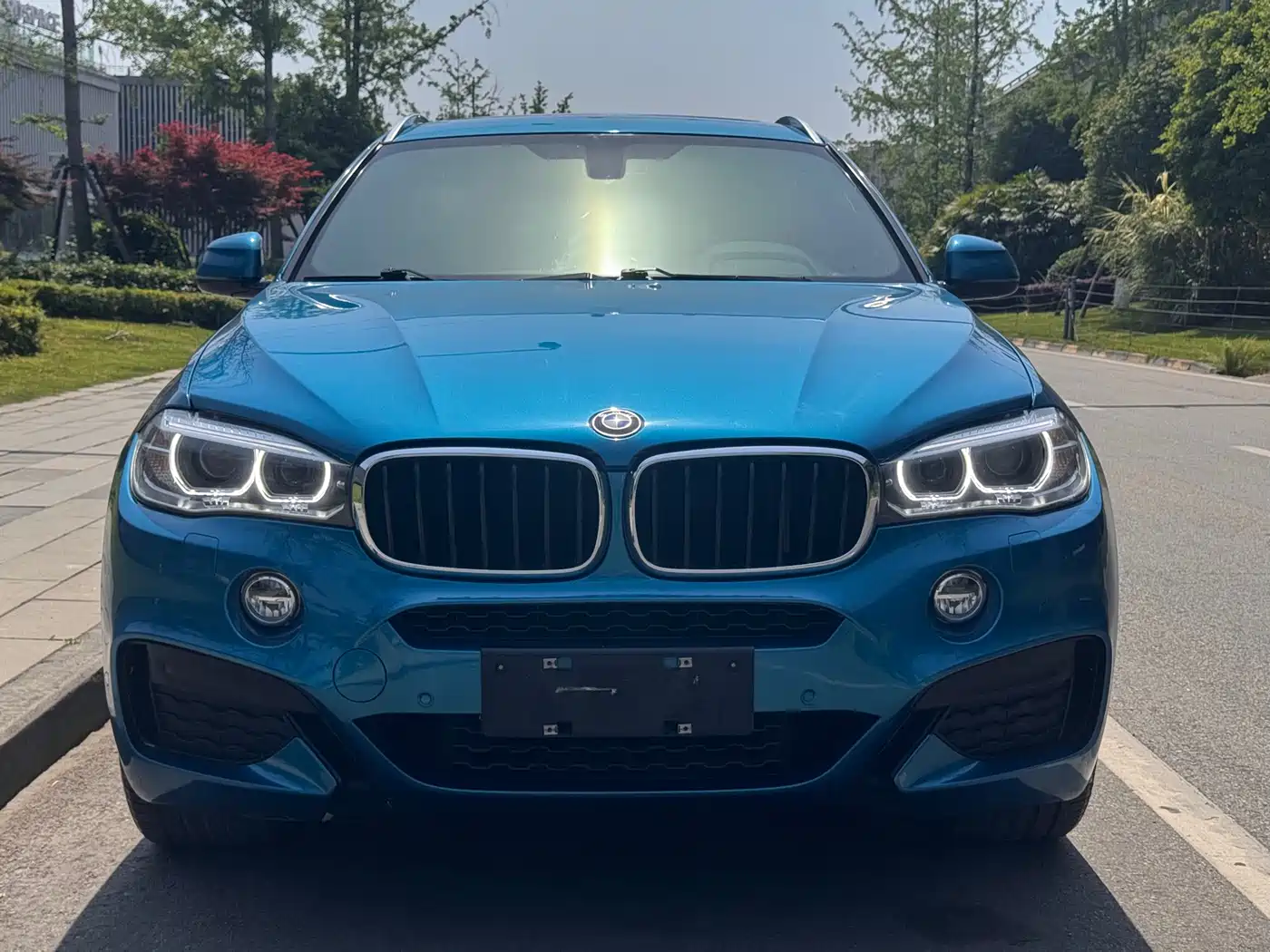 BMW X6 2018 xDrive35i M Sport Luxury Model фото 2