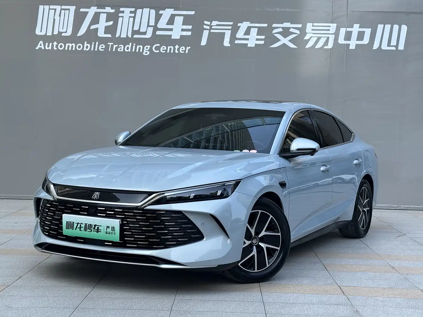 BYD Qin L 2025 DM-i Smart Drive 80KM Premium фото 14