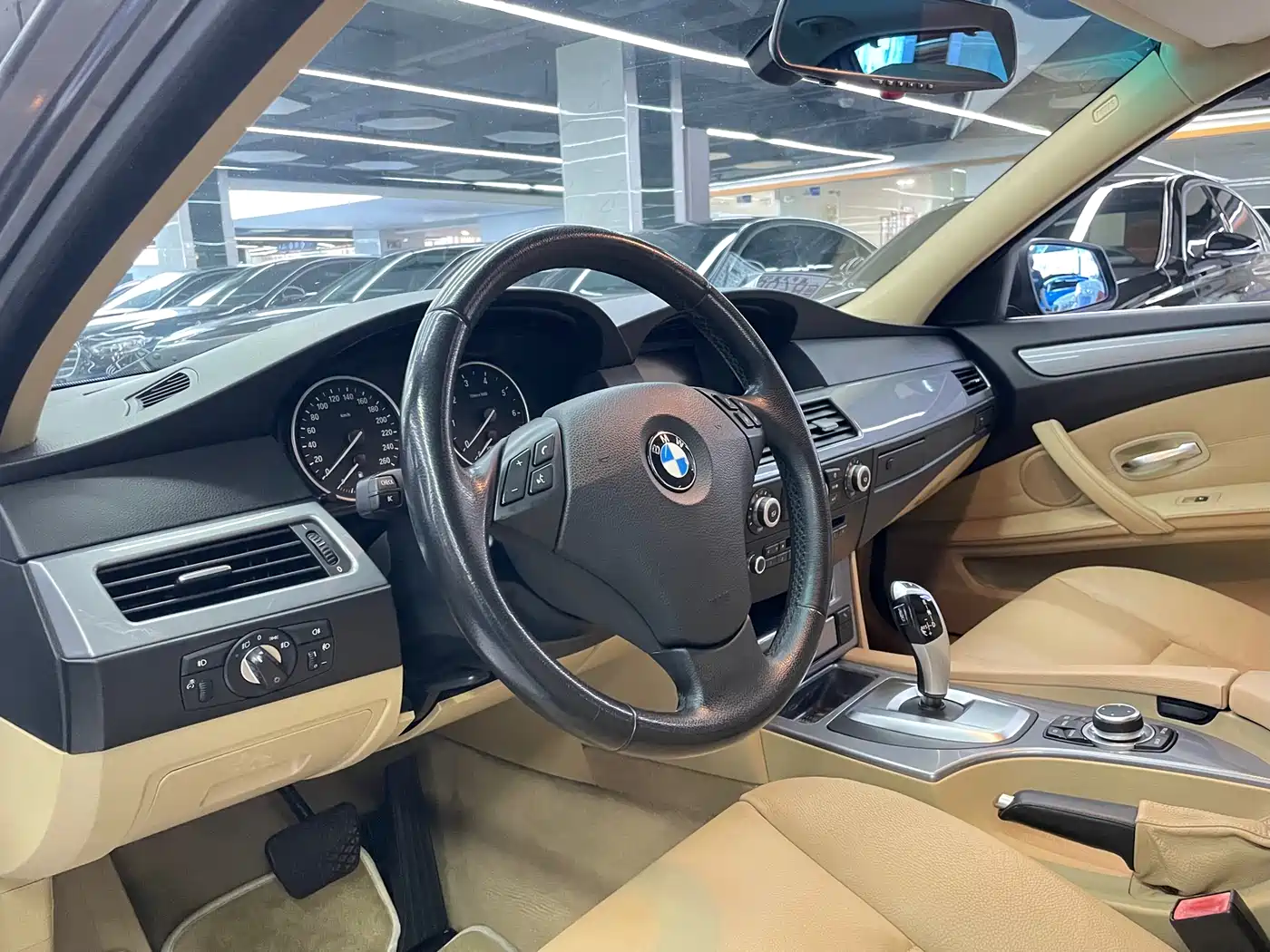 BMW 5 Series 2009 520Li Premium фото 13