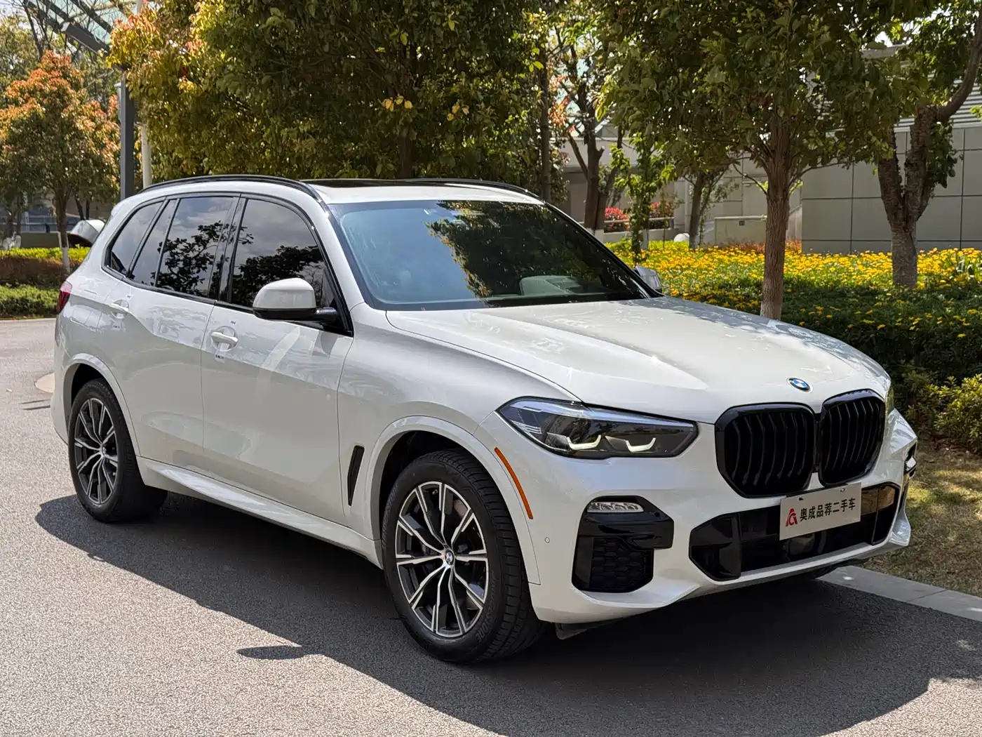 BMW X5 (Import) 2019 xDrive40i Exclusive M Sport Package фото 30
